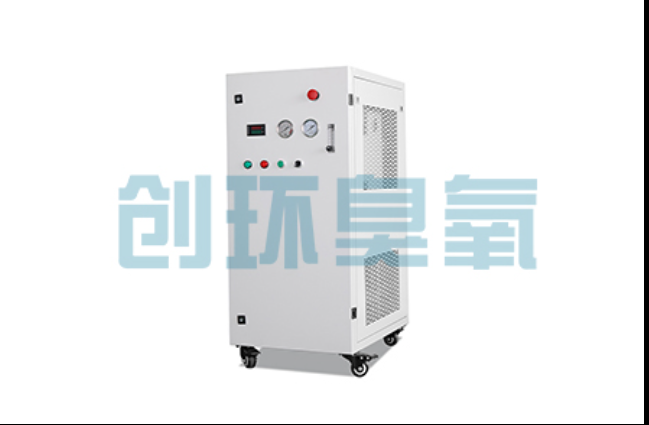 顺义工厂化养鲈必看:2026年臭氧发生器替代传统消毒的最新方案