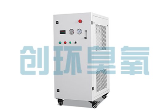 顺义石斑鱼养殖水质调控完整指南:臭氧发生器配置与操作步骤