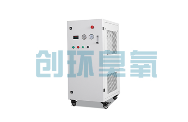 顺义比传统换水更高效?臭氧发生器在石斑鱼养殖中的水质净化原理解析