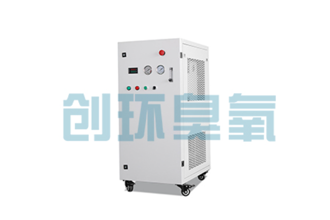 顺义比传统换水更高效？臭氧发生器在石斑鱼养殖中的水质净化原理解析